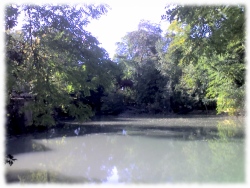 Villa Dolfin Vanna Parco - Salboro - Padova