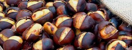 Gruppo Anta: incontro e castagnata
