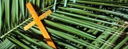 Domenica delle Palme - Salboro 2020